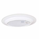 Storesome Oval Plate  Po-010  12" - Image 3